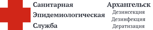 СЭС Архангельска